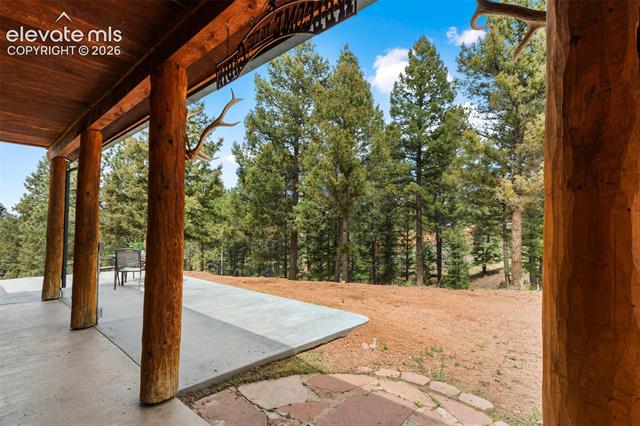 MLS Image for 918  Douglas Fir  ,Woodland Park, Colorado
