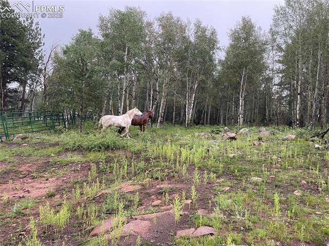 MLS Image for 3153  Homestake  ,Florissant, Colorado