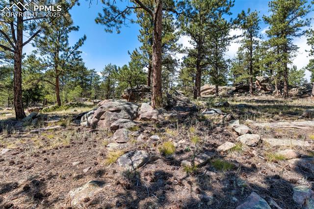 MLS Image for 3153  Homestake  ,Florissant, Colorado