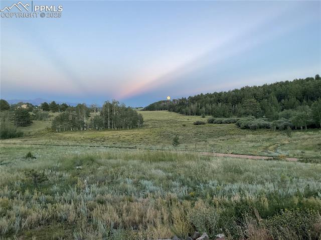 MLS Image for 3153  Homestake  ,Florissant, Colorado
