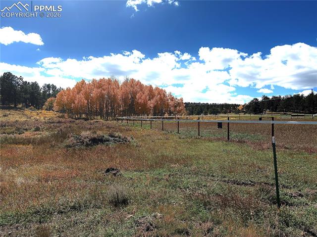 MLS Image for 3153  Homestake  ,Florissant, Colorado