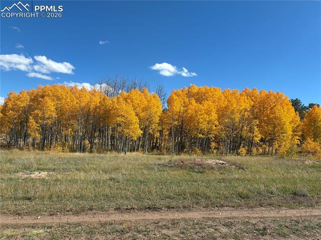 MLS Image for 3153  Homestake  ,Florissant, Colorado