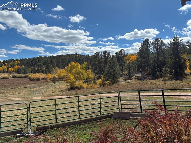 MLS Image for 3153  Homestake  ,Florissant, Colorado
