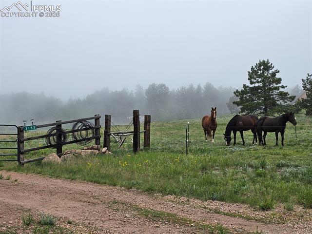 MLS Image for 3153  Homestake  ,Florissant, Colorado