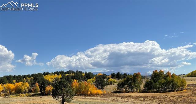 MLS Image for 3153  Homestake  ,Florissant, Colorado