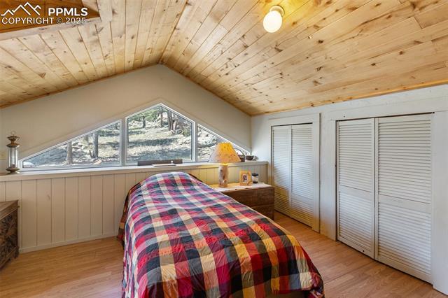 MLS Image for 3153  Homestake  ,Florissant, Colorado