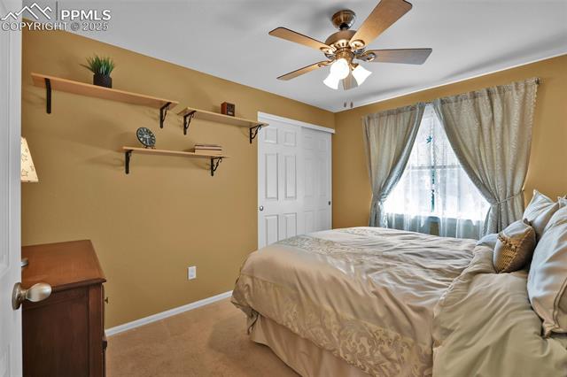 MLS Image for 7882  February  ,Colorado Springs, Colorado