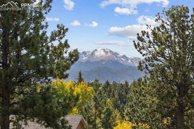 MLS Image for 36  Illini  ,Woodland Park, Colorado