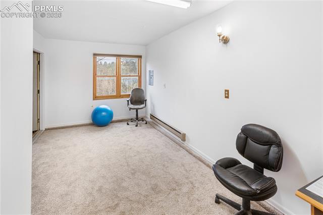 MLS Image for 36  Illini  ,Woodland Park, Colorado