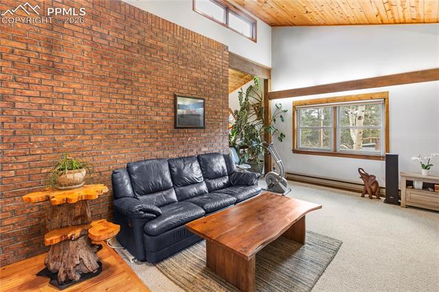 MLS Image for 36  Illini  ,Woodland Park, Colorado