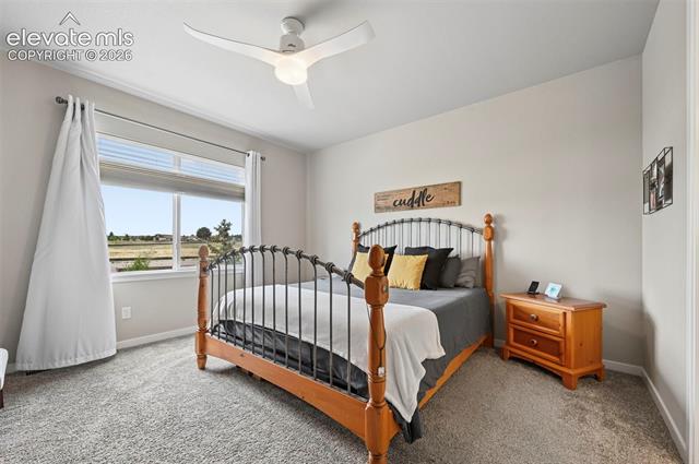MLS Image for 8172  Wheatland  ,Colorado Springs, Colorado