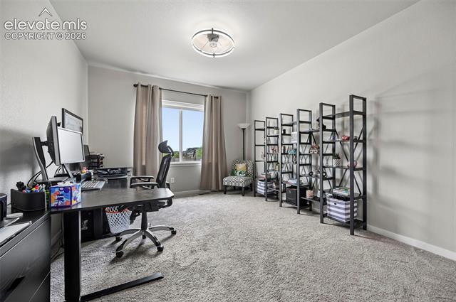 MLS Image for 8172  Wheatland  ,Colorado Springs, Colorado