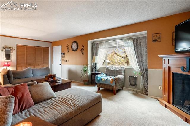 MLS Image for 7355  Woody Creek  ,Colorado Springs, Colorado