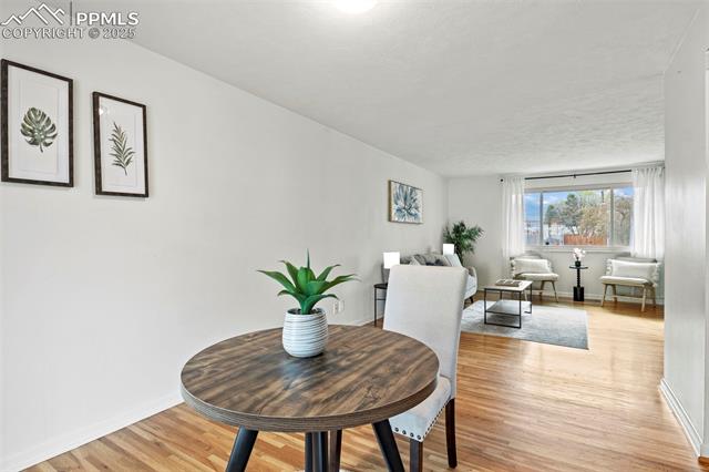 MLS Image for 2337  Condor  ,Colorado Springs, Colorado