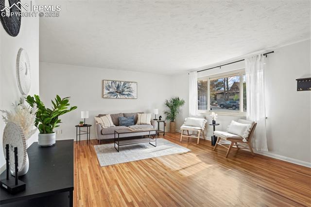 MLS Image for 2337  Condor  ,Colorado Springs, Colorado