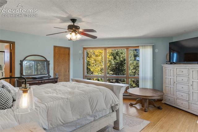 MLS Image for 247  Pinewood  ,Florissant, Colorado