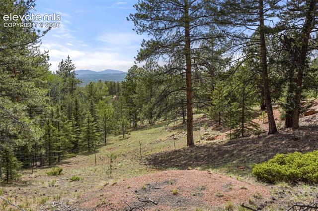 MLS Image for 247  Pinewood  ,Florissant, Colorado