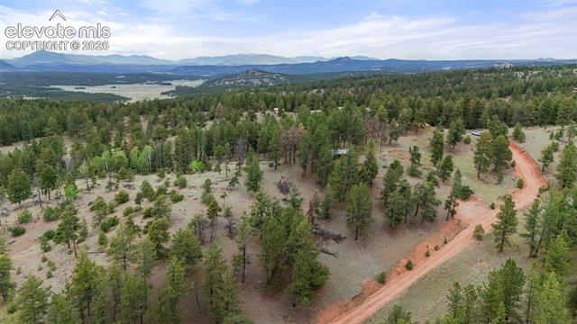MLS Image for 247  Pinewood  ,Florissant, Colorado