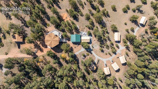 MLS Image for 247  Pinewood  ,Florissant, Colorado