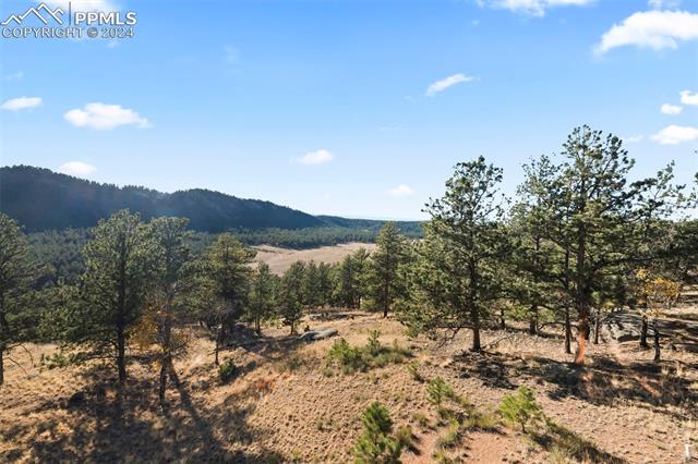 MLS Image for 583 S Deer Mountain  ,Florissant, Colorado