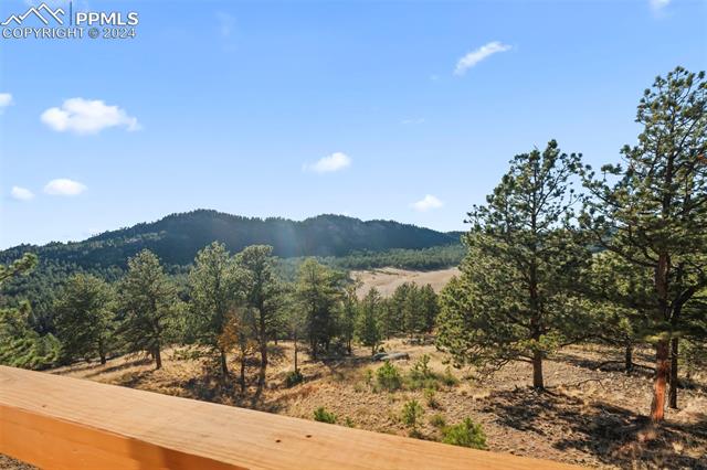 MLS Image for 583 S Deer Mountain  ,Florissant, Colorado