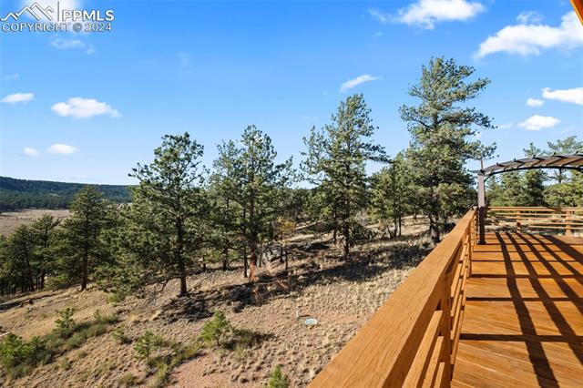 MLS Image for 583 S Deer Mountain  ,Florissant, Colorado