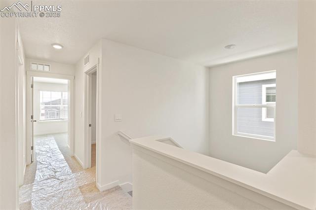 MLS Image for 6753  Raven Ridge  ,Colorado Springs, Colorado
