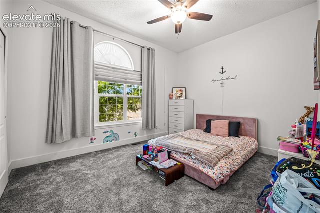 MLS Image for 4860  Poleplant  ,Colorado Springs, Colorado