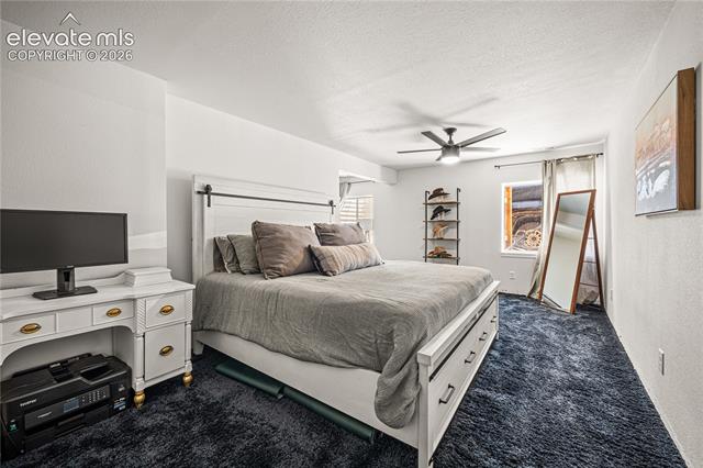 MLS Image for 4860  Poleplant  ,Colorado Springs, Colorado