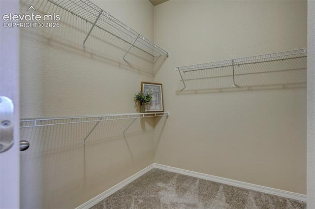MLS Image for 8259  Mosby  ,Colorado Springs, Colorado