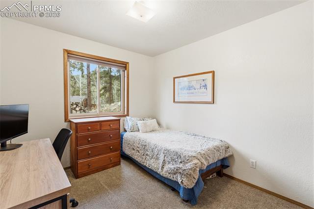 MLS Image for 200  Sun Ridge  ,Woodland Park, Colorado