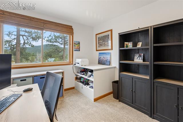 MLS Image for 200  Sun Ridge  ,Woodland Park, Colorado