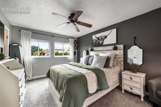 MLS Image for 7175  Woody Creek  ,Colorado Springs, Colorado