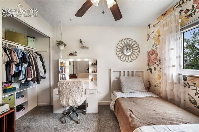MLS Image for 7175  Woody Creek  ,Colorado Springs, Colorado