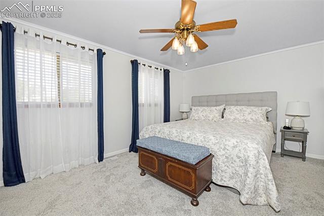 MLS Image for 5505  Zapato  ,Colorado Springs, Colorado