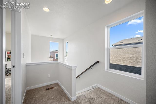 MLS Image for 7343  Rosa Belle  ,Colorado Springs, Colorado