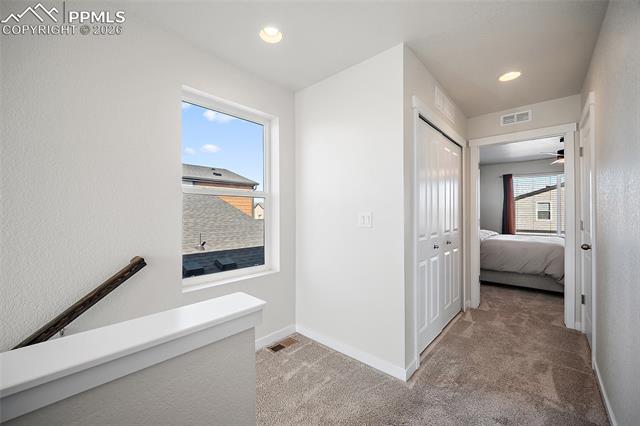 MLS Image for 7343  Rosa Belle  ,Colorado Springs, Colorado