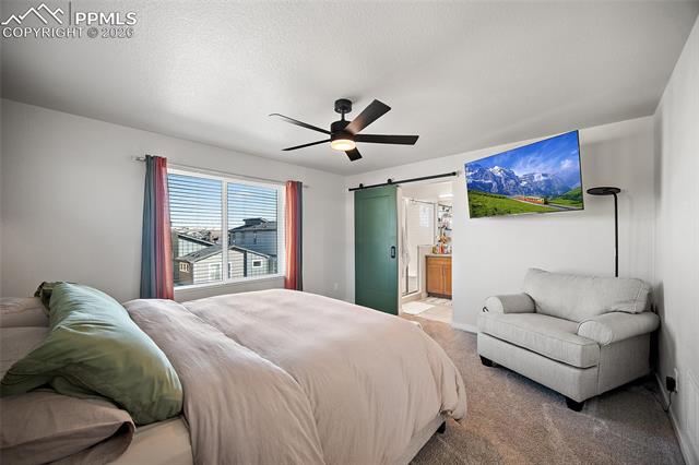 MLS Image for 7343  Rosa Belle  ,Colorado Springs, Colorado