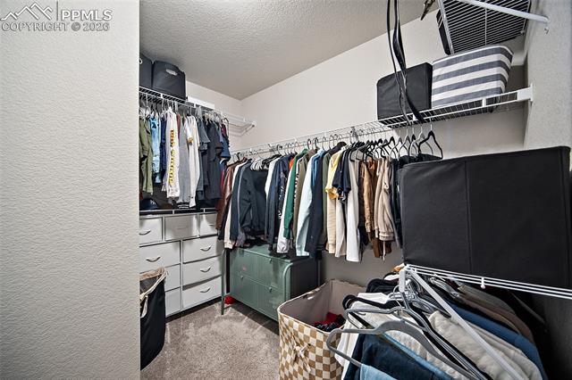 MLS Image for 7343  Rosa Belle  ,Colorado Springs, Colorado