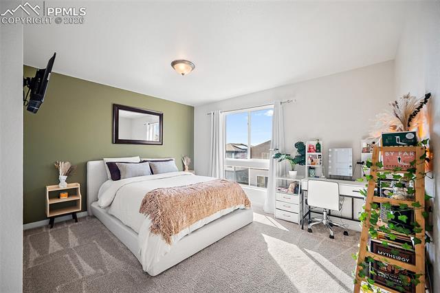MLS Image for 7343  Rosa Belle  ,Colorado Springs, Colorado