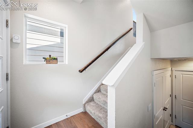 MLS Image for 7343  Rosa Belle  ,Colorado Springs, Colorado