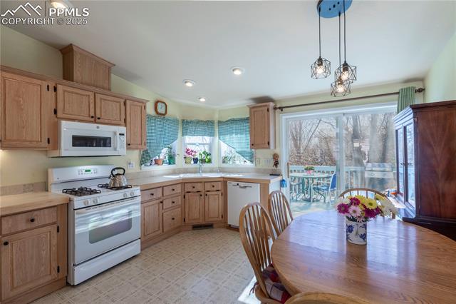 MLS Image for 4613  Gray Fox  ,Colorado Springs, Colorado