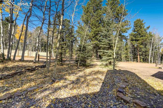 MLS Image for 32  Leisure  ,Woodland Park, Colorado