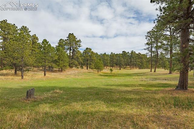 MLS Image for 13354 N Meridian  ,Elbert, Colorado