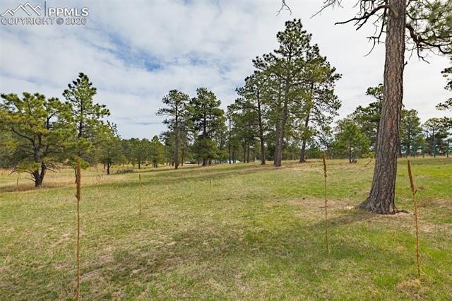MLS Image for 13354 N Meridian  ,Elbert, Colorado