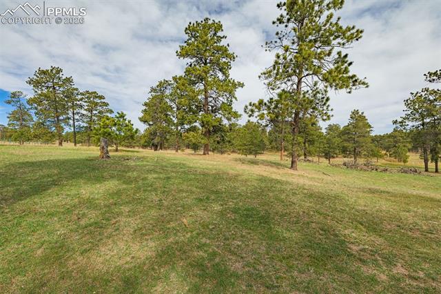 MLS Image for 13354 N Meridian  ,Elbert, Colorado