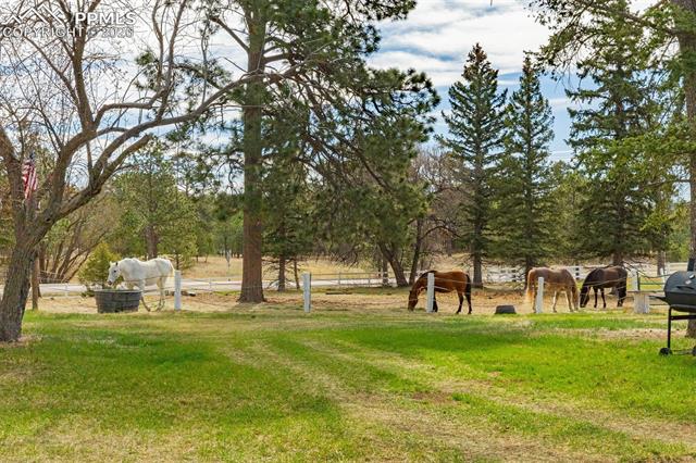 MLS Image for 13354 N Meridian  ,Elbert, Colorado