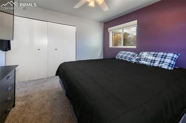 MLS Image for 1519  Auburn  ,Colorado Springs, Colorado