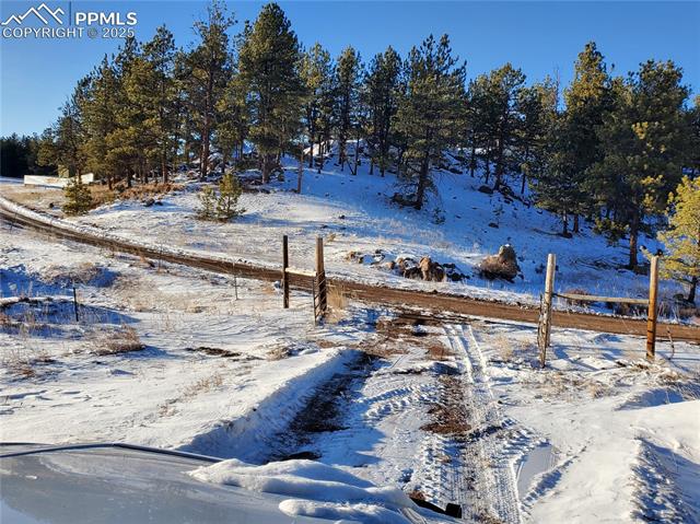 MLS Image for 182  Sioux  ,Florissant, Colorado