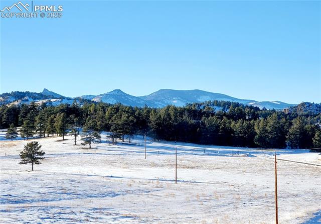 MLS Image for 182  Sioux  ,Florissant, Colorado